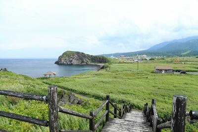 富士野園地