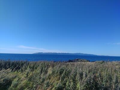 礼文島