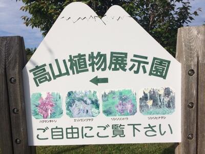 高山植物展示園