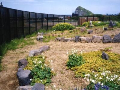 高山植物展示園２